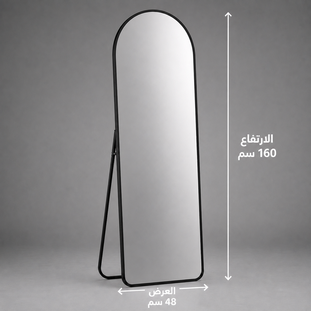 Modern Standing Floor Mirror